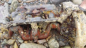 photo of engine block